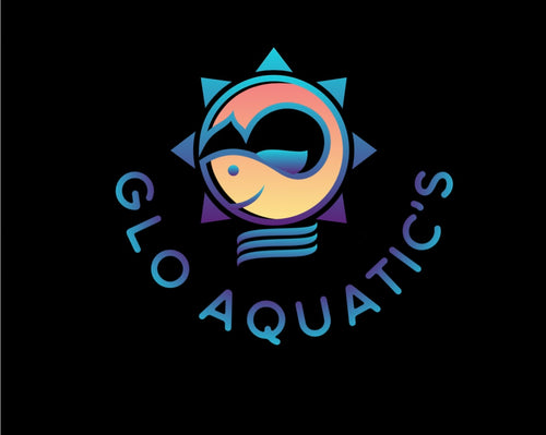 Glo Aquatics